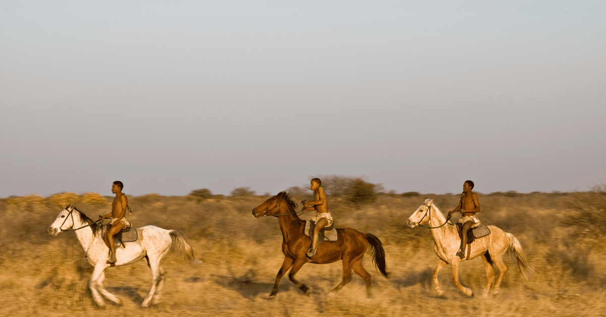 Horseback safaris (only for the experienced rider)