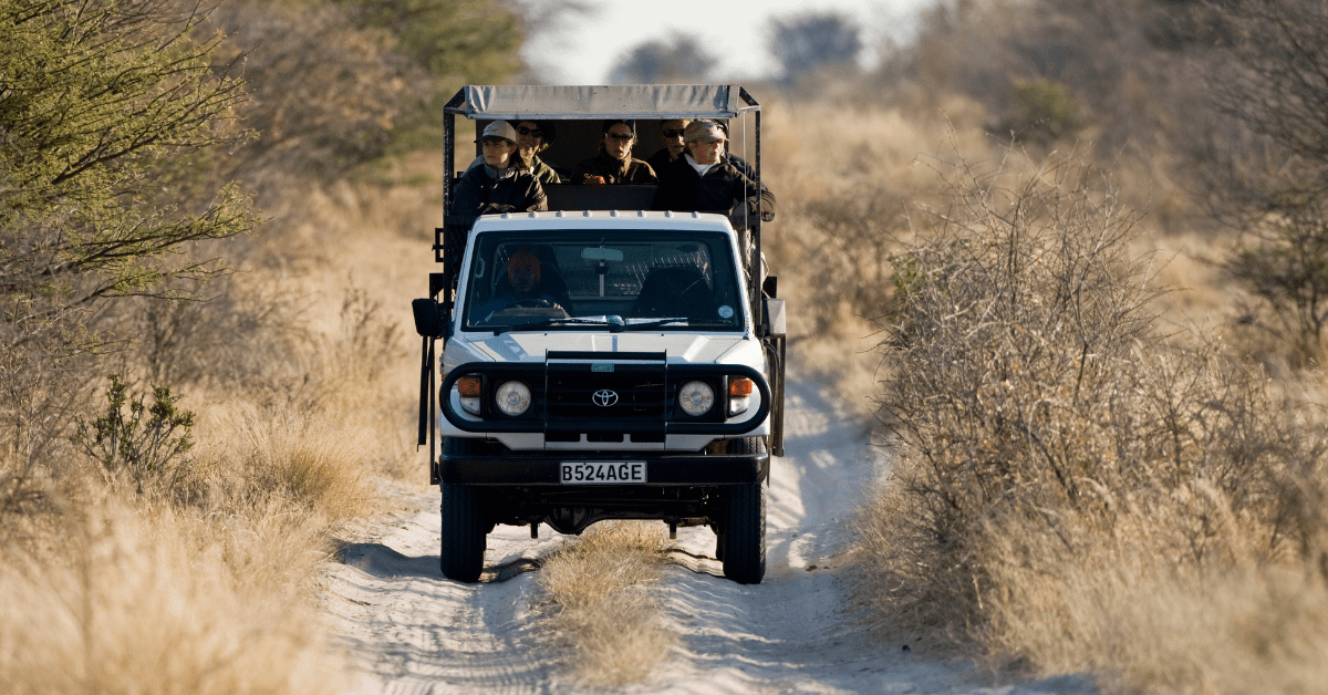 Game Drives
